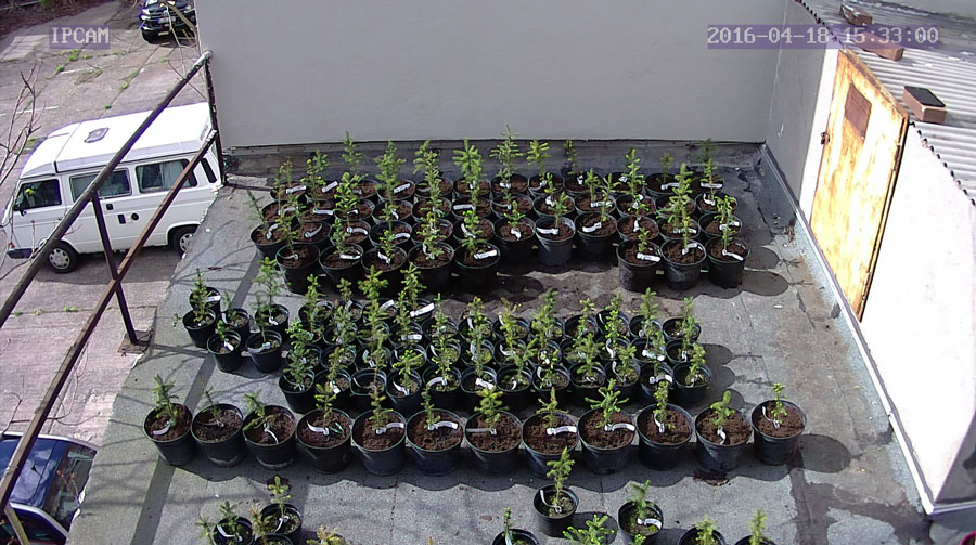 jurgen_ostarhild_144_20160418