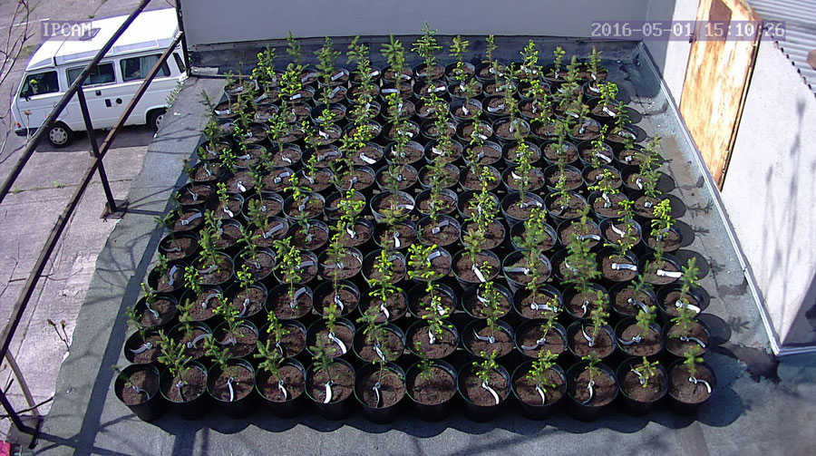 jurgen_ostarhild_144_20160501