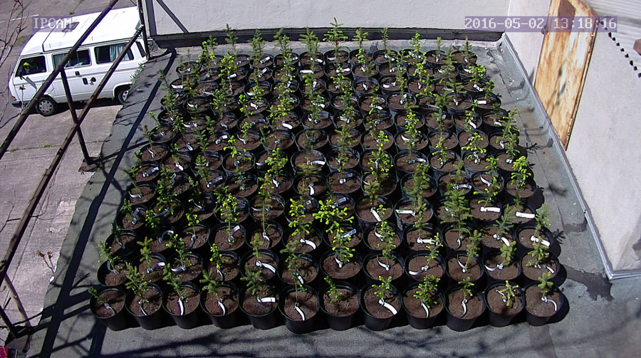 jurgen_ostarhild_144_20160502