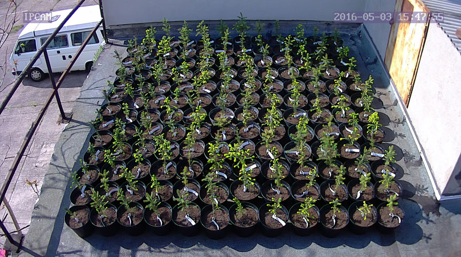 jurgen_ostarhild_144_20160503