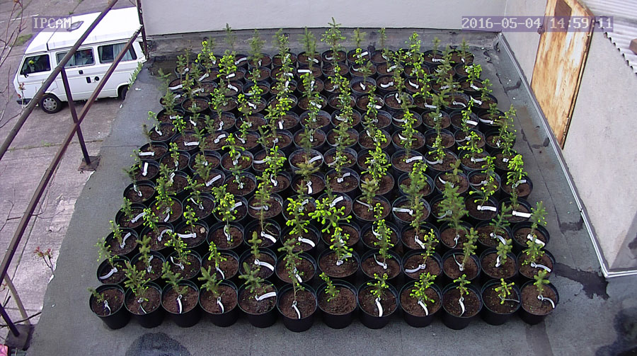 jurgen_ostarhild_144_20160504