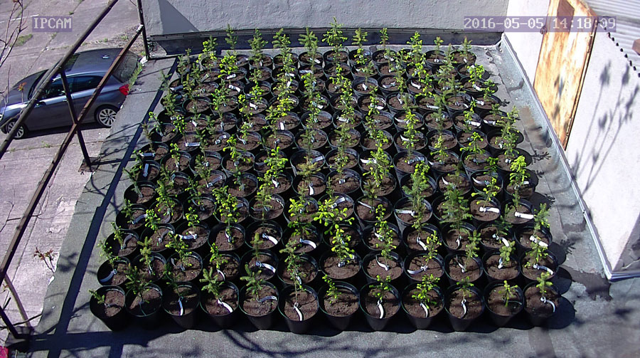 jurgen_ostarhild_144_20160505