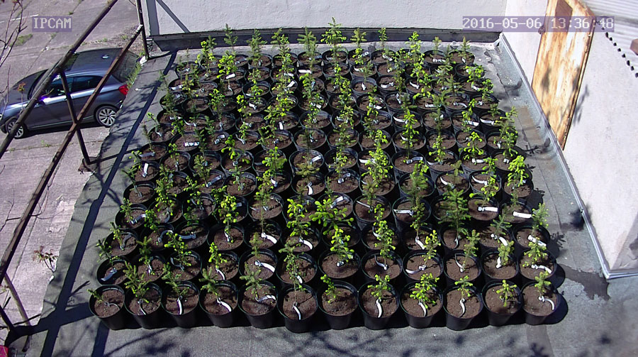 jurgen_ostarhild_144_20160506