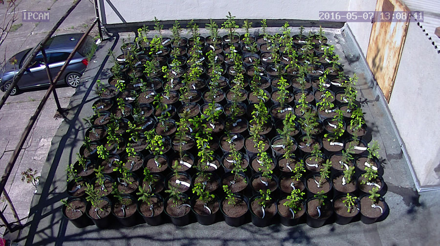 jurgen_ostarhild_144_20160507