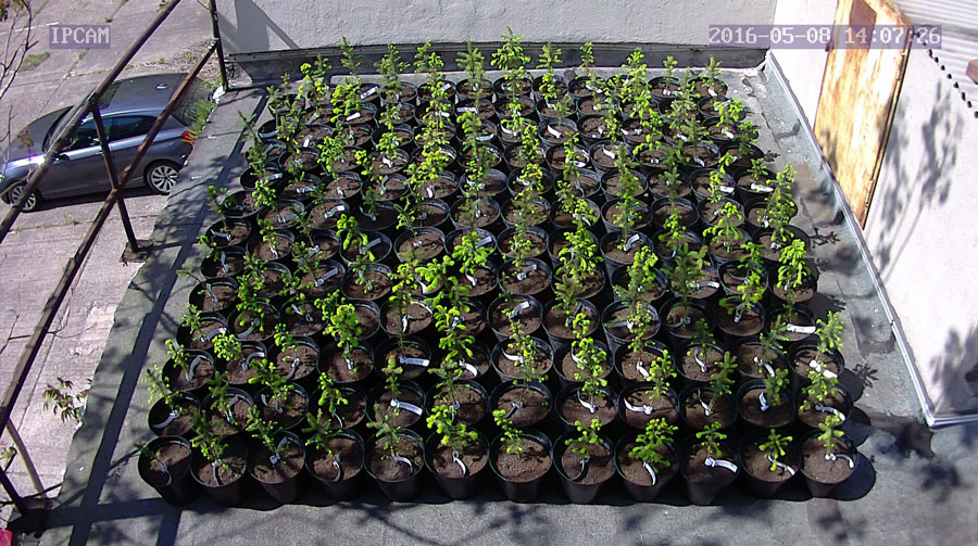 jurgen_ostarhild_144_20160508