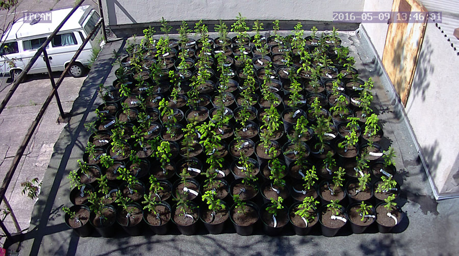 jurgen_ostarhild_144_20160509