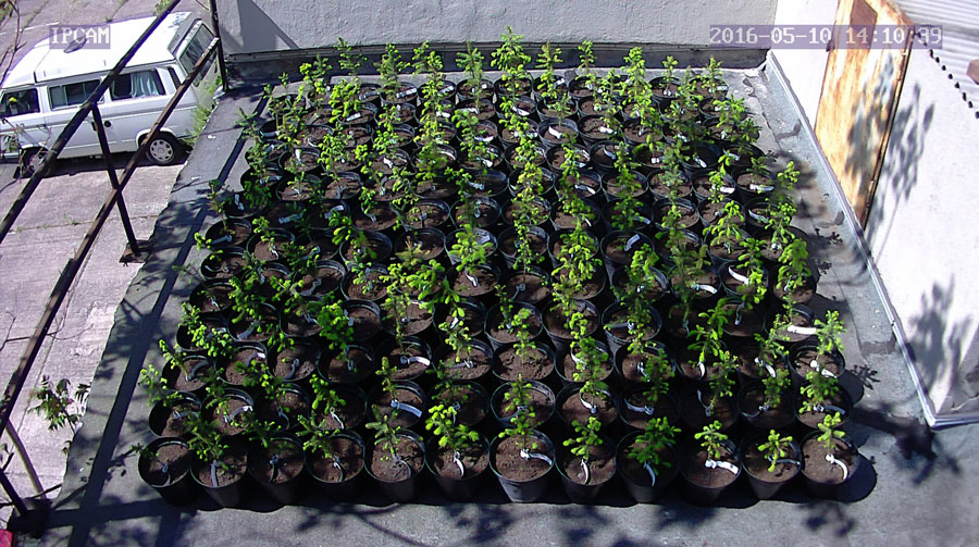 jurgen_ostarhild_144_20160510