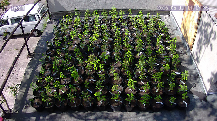 jurgen_ostarhild_144_20160511