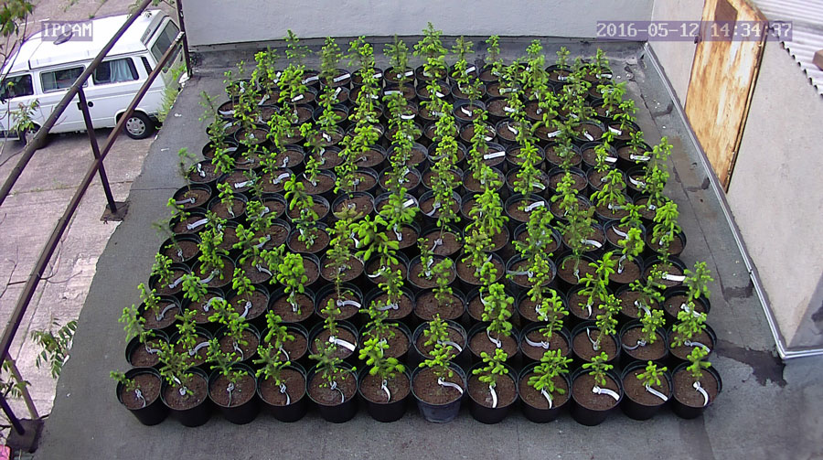 jurgen_ostarhild_144_20160512