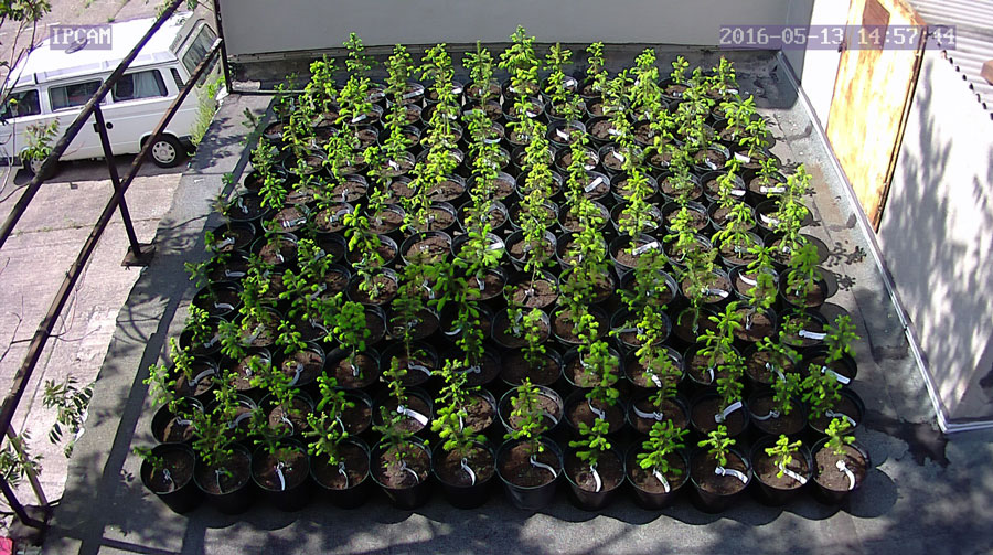 jurgen_ostarhild_144_20160513