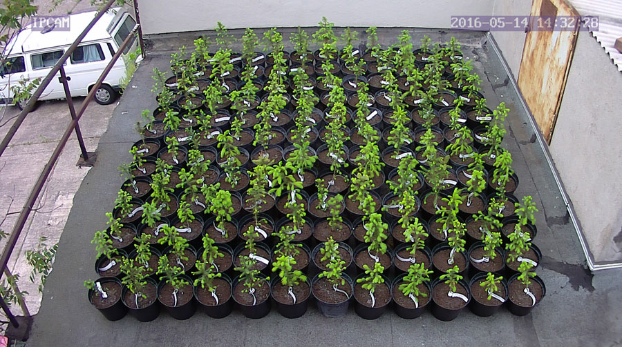 jurgen_ostarhild_144_20160514