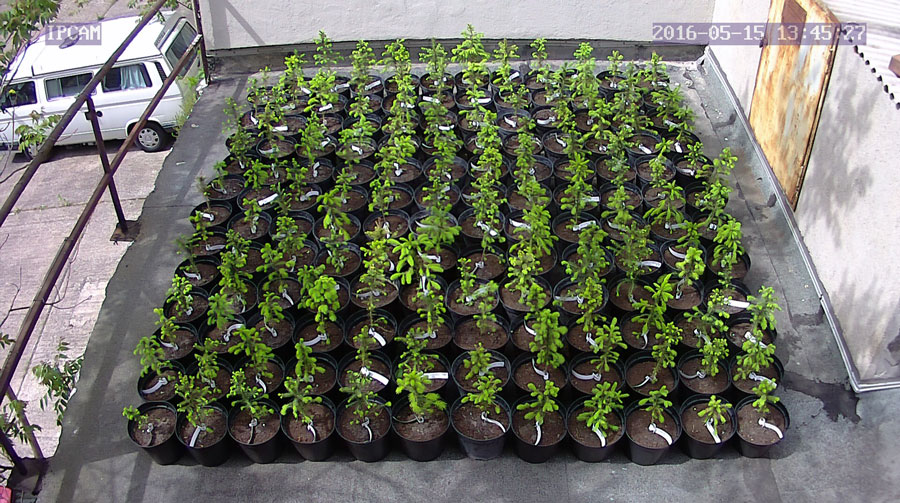 jurgen_ostarhild_144_20160515