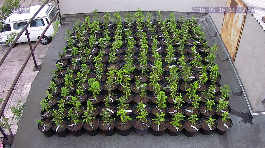 jurgen_ostarhild_144_20160516