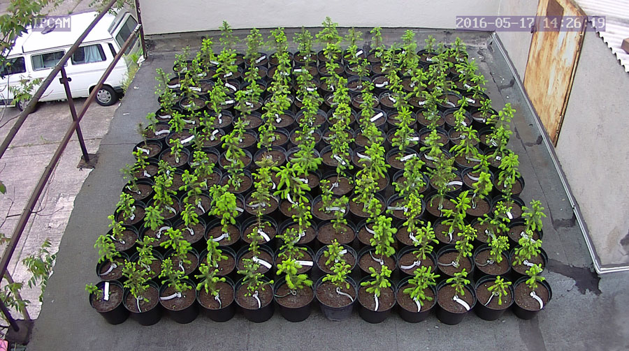 jurgen_ostarhild_144_20160517