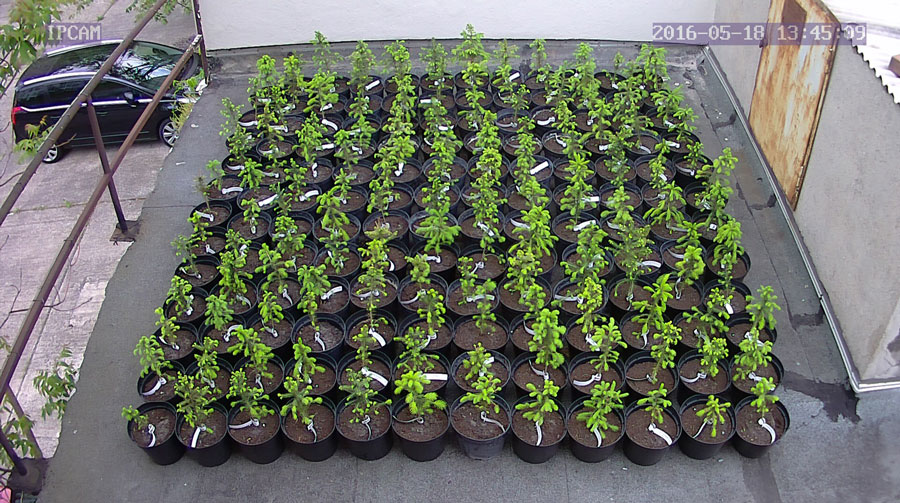 jurgen_ostarhild_144_20160518