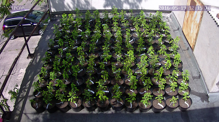 jurgen_ostarhild_144_20160519