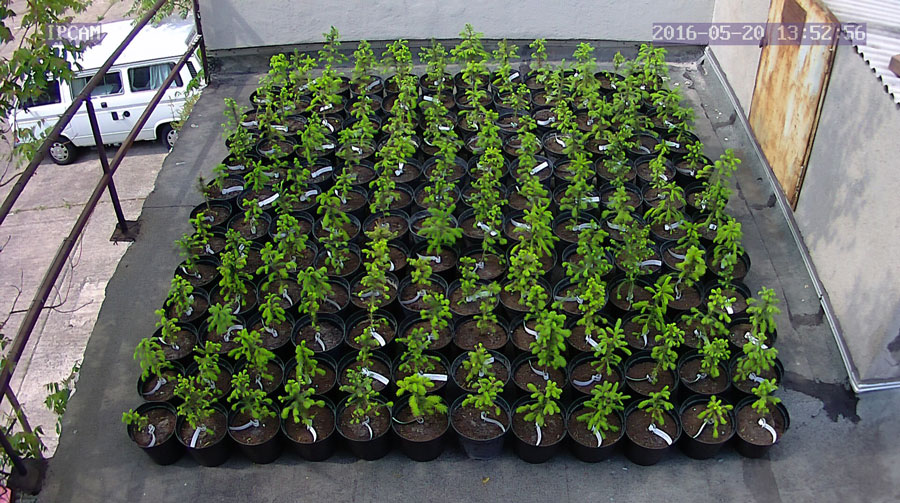 jurgen_ostarhild_144_20160520