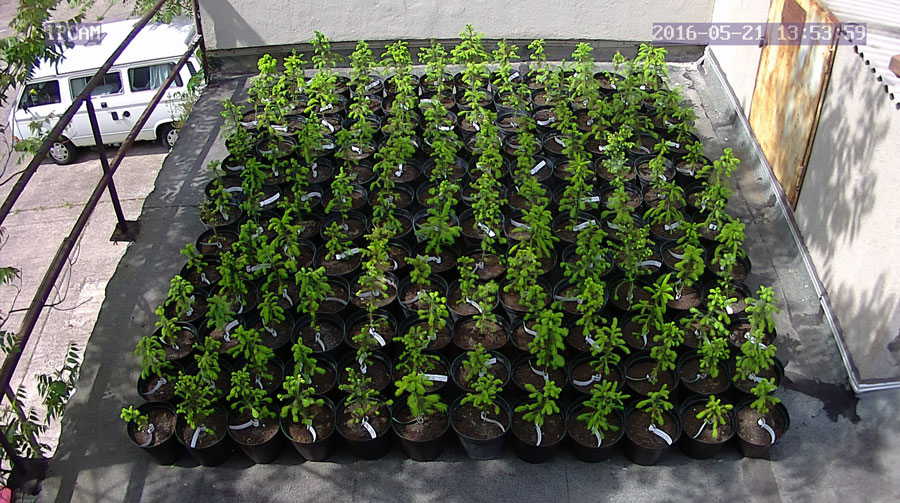 jurgen_ostarhild_144_20160521