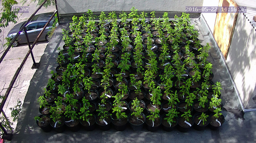 jurgen_ostarhild_144_20160522