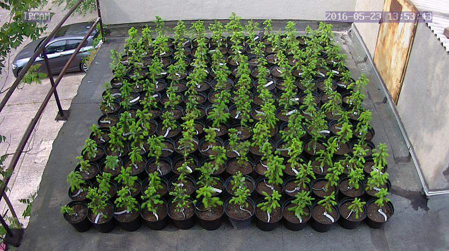 jurgen_ostarhild_144_20160523