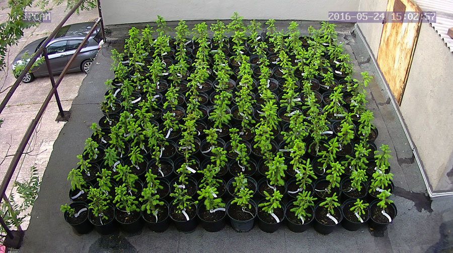 jurgen_ostarhild_144_20160524