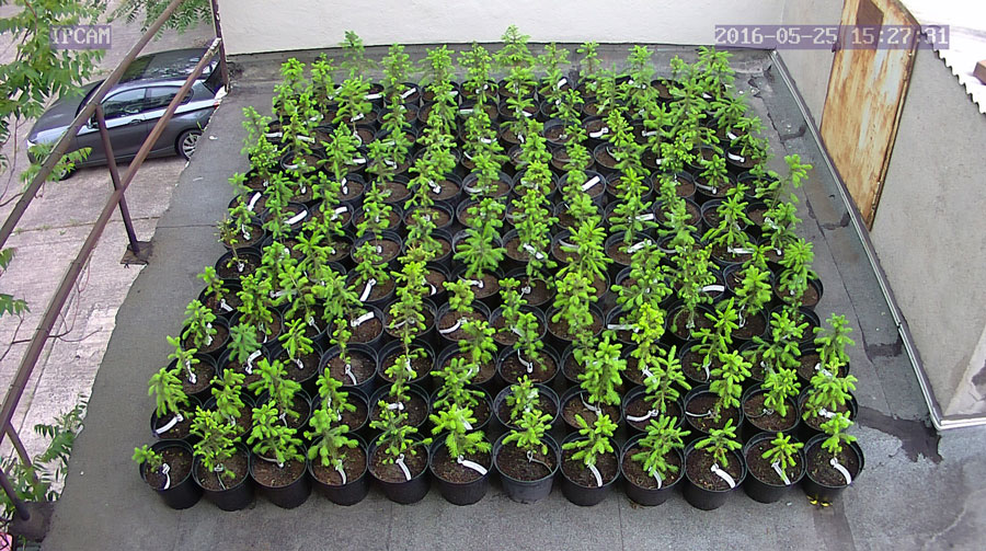 jurgen_ostarhild_144_20160525