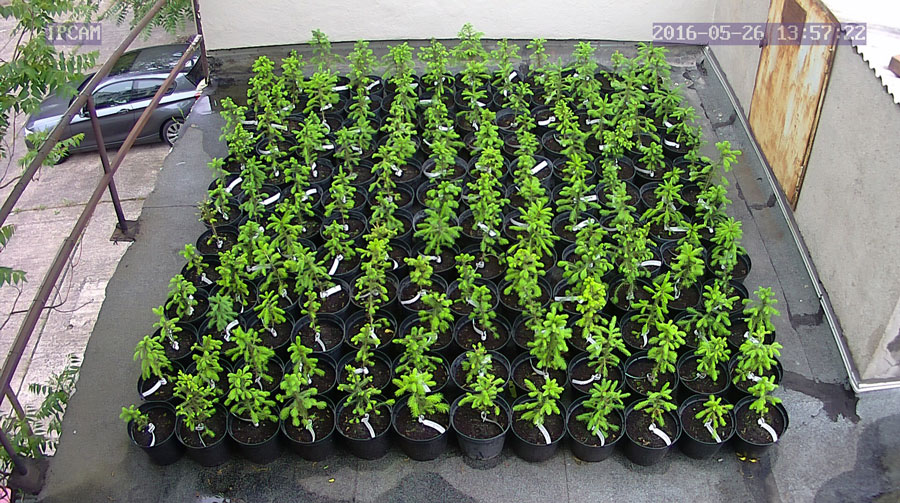 jurgen_ostarhild_144_20160526