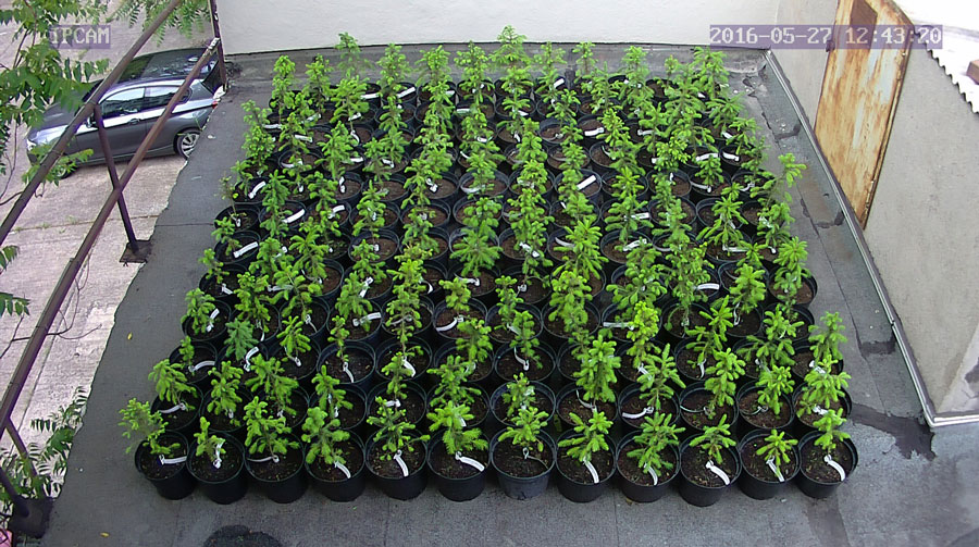 jurgen_ostarhild_144_20160527