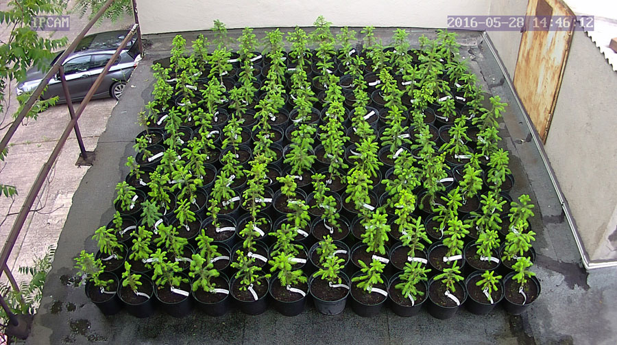 jurgen_ostarhild_144_20160528