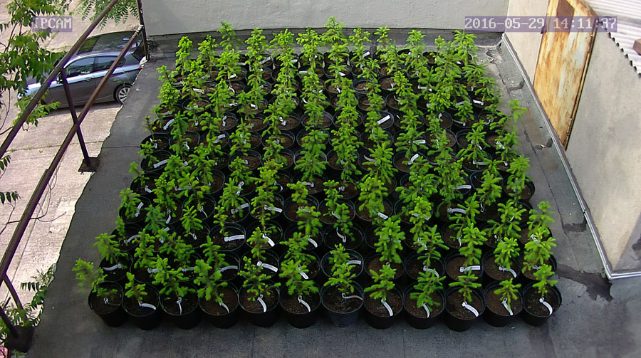 jurgen_ostarhild_144_20160529