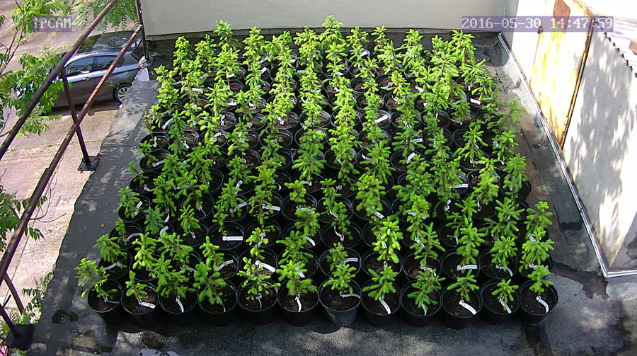 jurgen_ostarhild_144_20160530