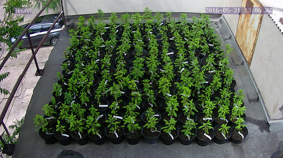 jurgen_ostarhild_144_20160531