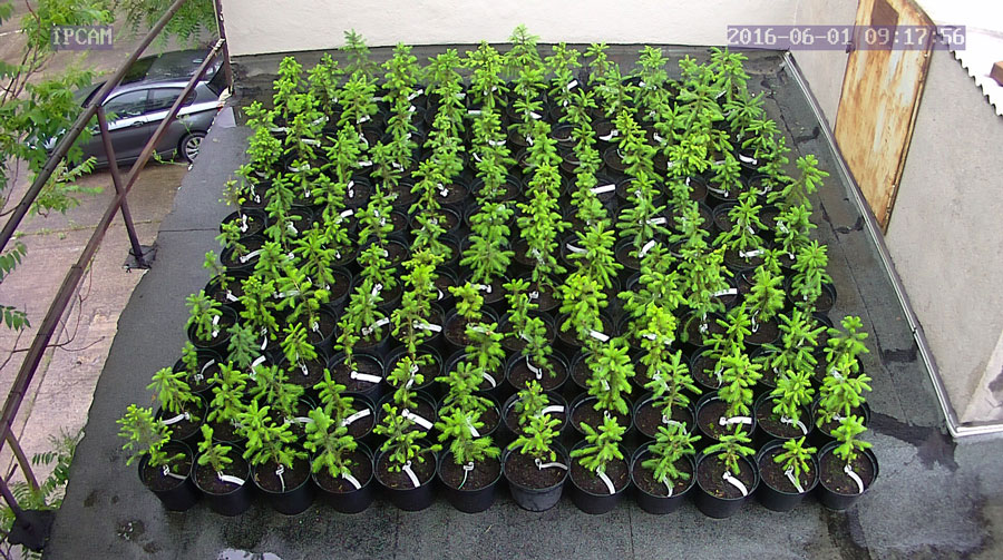 jurgen_ostarhild_144_20160601