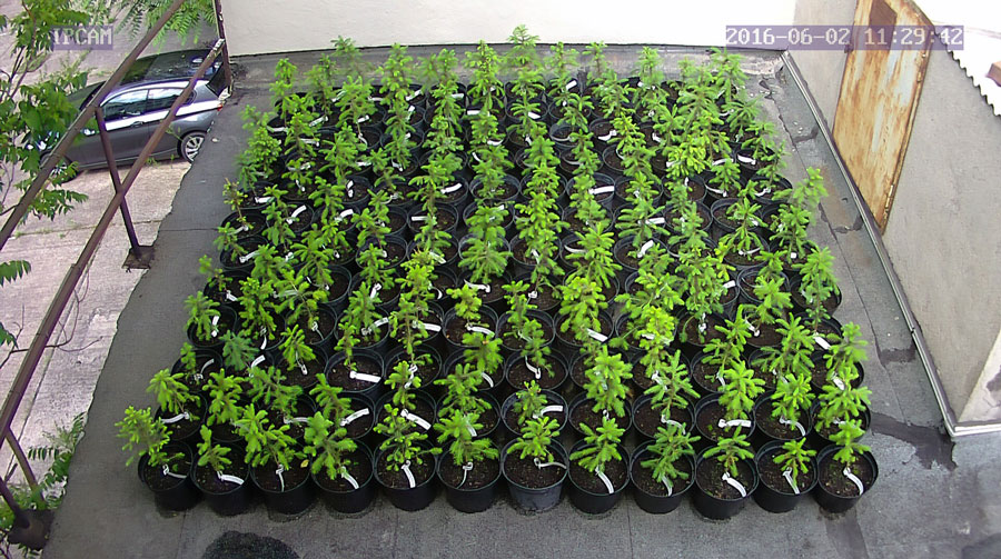 jurgen_ostarhild_144_20160602