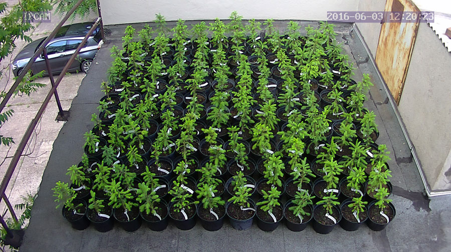 jurgen_ostarhild_144_20160603