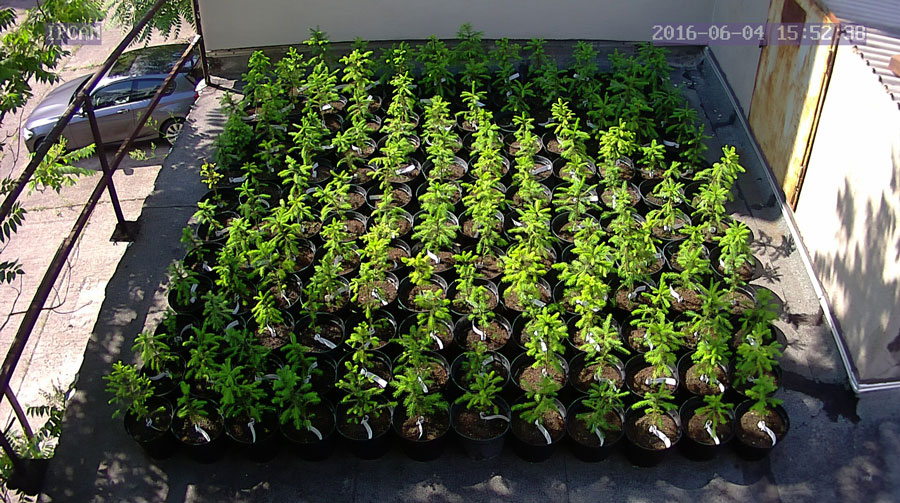 jurgen_ostarhild_144_20160604