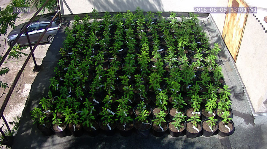 jurgen_ostarhild_144_20160605