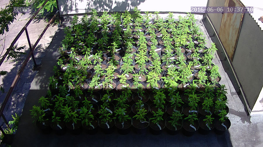 jurgen_ostarhild_144_20160606