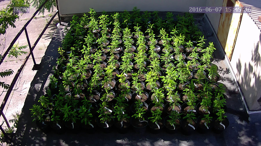 jurgen_ostarhild_144_20160607