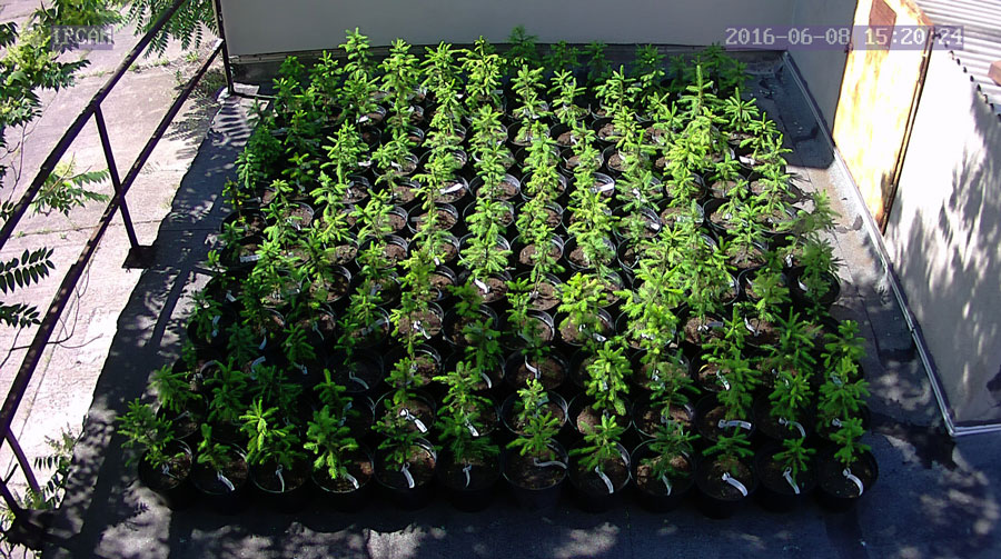 jurgen_ostarhild_144_20160608