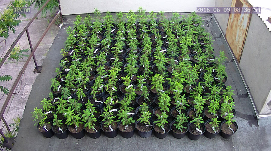 jurgen_ostarhild_144_20160609