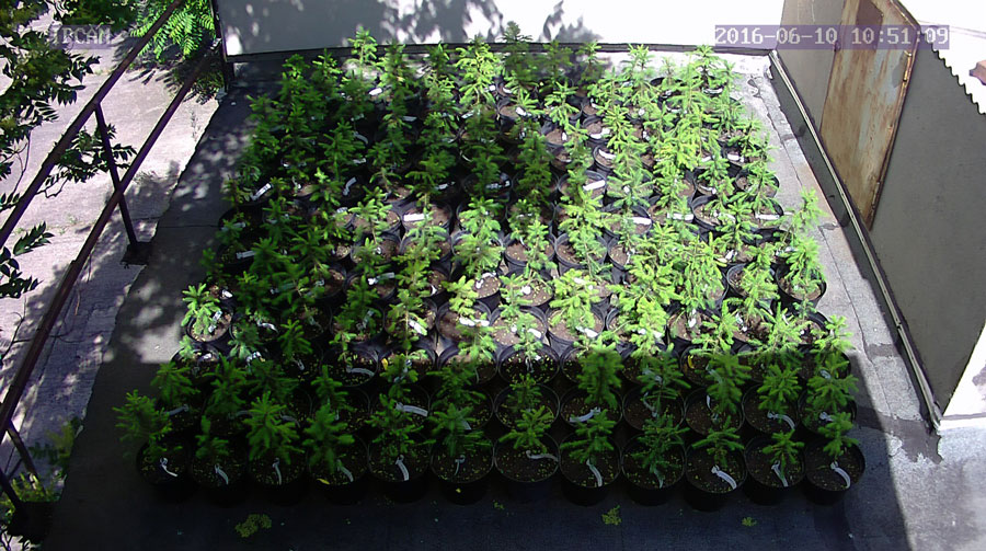 jurgen_ostarhild_144_20160610