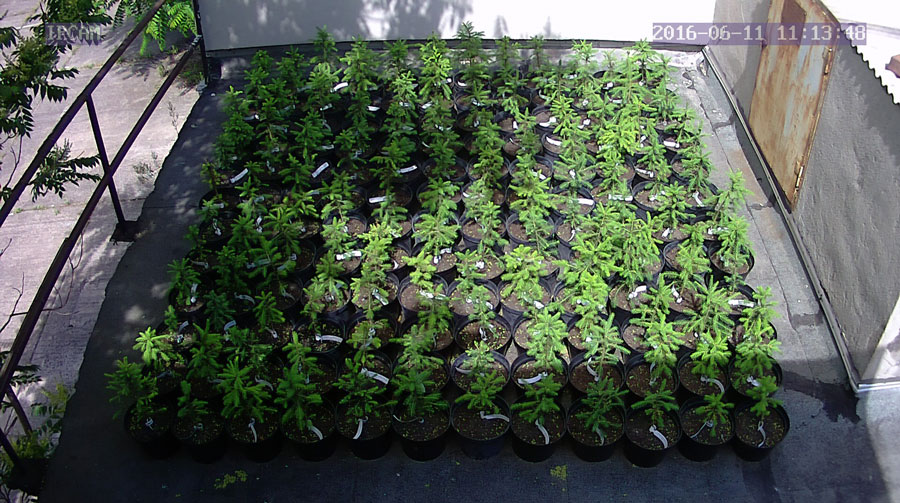 jurgen_ostarhild_144_20160611