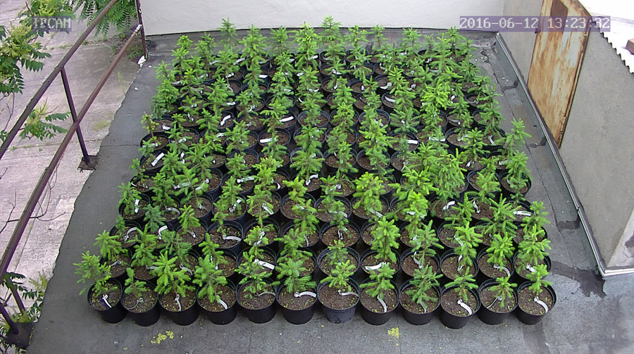 jurgen_ostarhild_144_20160612