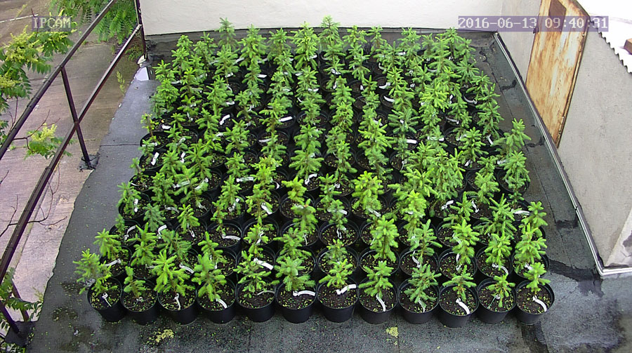 jurgen_ostarhild_144_20160613