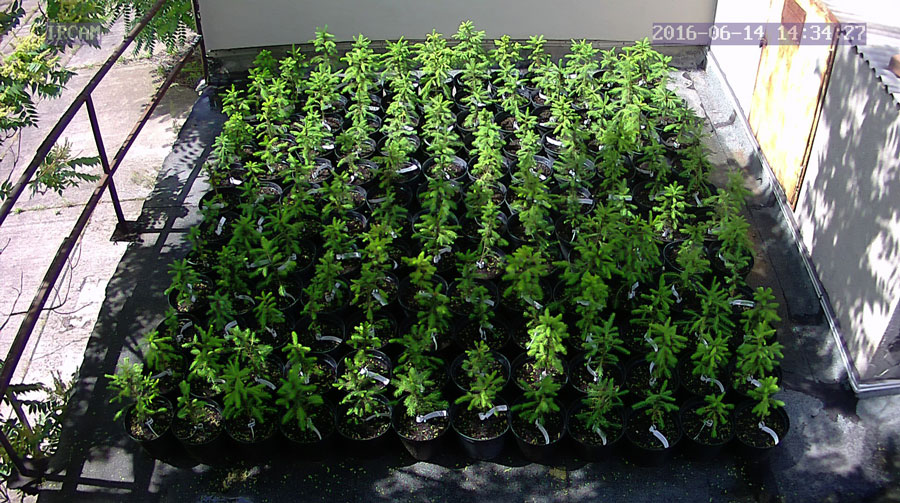 jurgen_ostarhild_144_20160614