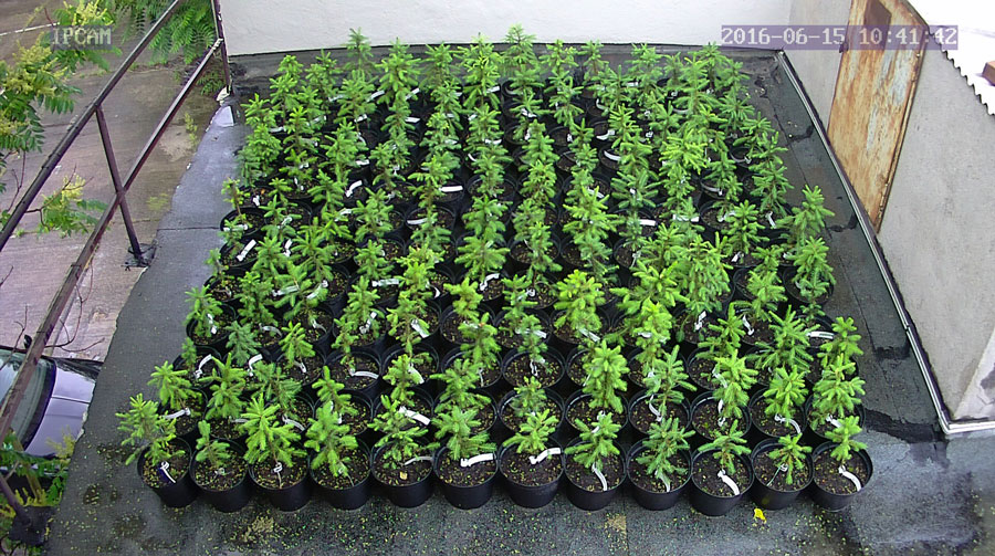 jurgen_ostarhild_144_20160615