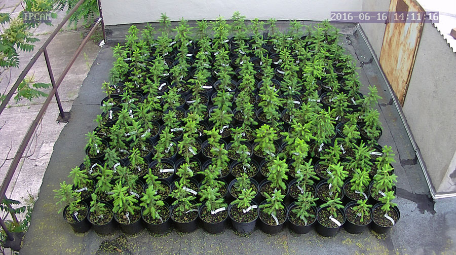 jurgen_ostarhild_144_20160616