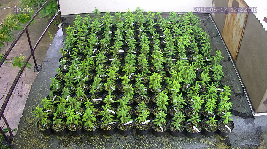 jurgen_ostarhild_144_20160617