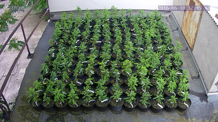 jurgen_ostarhild_144_20160618